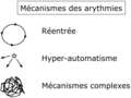 Vignette pour la version du 10 août 2023 à 08:34